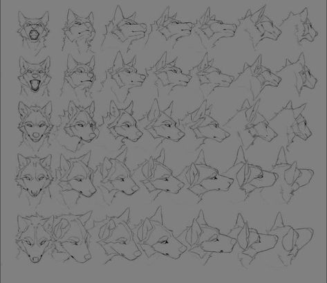 Wolf Head Angles, Wolf Mouth Reference, Dog Head Drawing Reference, Wolf Drawing Poses, Canine Mouth Reference, Dog Snout Drawing Reference, Wolf Snout Drawing Reference, Wolf Refrence Pose, Wolf Head Drawing Reference