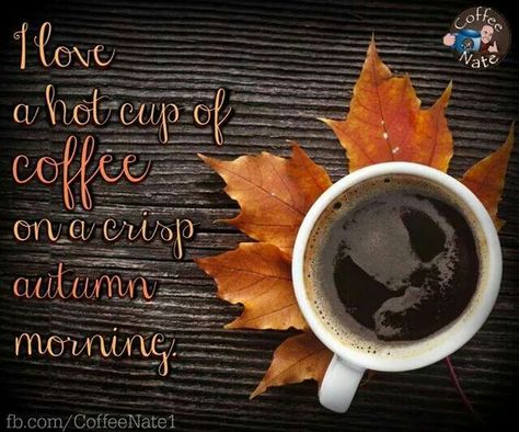 Have a Hot cup of Coffee on a crisp Autumn morning. Fall Coffee Bar, Coffee Tattoos, Coffee Pictures, Autumn Morning, Fall Coffee, Coffee Decor, Coffee Photography, Good Morning Everyone, Good Morning Coffee