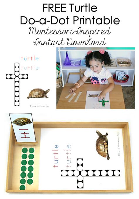 This free turtle do-a-dot printable is an instant download and is perfect for a turtle, pond, or ocean unit. Post includes the Montessori Monday linky collection. Turtle Activities, Free Educational Printables, Montessori Language, Turtle Theme, Montessori Color, Montessori Printables, Homeschooling Preschool, Turtle Crafts, Ocean Unit