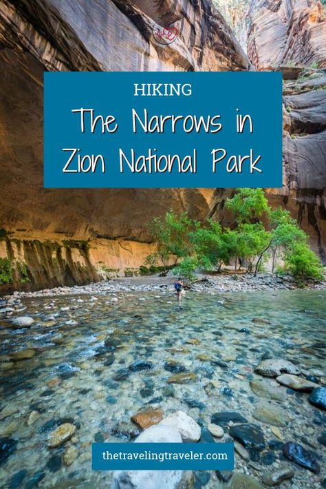 Narrows Zion National Park, Hiking The Narrows, The Narrows, Zion Canyon, Zion National Park Utah, National Park Photos, Fine Art Landscape Photography, Utah Travel, Camping Checklist