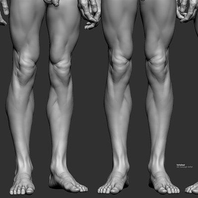 ArtStation - ToTo Dost Legs Reference, Zbrush Anatomy, Study Anatomy, Leg Reference, Leg Anatomy, Foot Anatomy, 3d Karakter, Life Drawing Reference, Man Anatomy