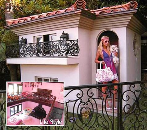 SEE the Most EXPENSIVE DOG Mansions in the World! OMG. I'm sure a handy person can build one of these for a lot cheaper! Paris Hilton Dog, World's Most Expensive Dog, Dog Mansion, Luxury Dog House, Dogs House, Most Expensive Dog, Celebrity Dogs, Expensive Dogs, Cool Dog Houses