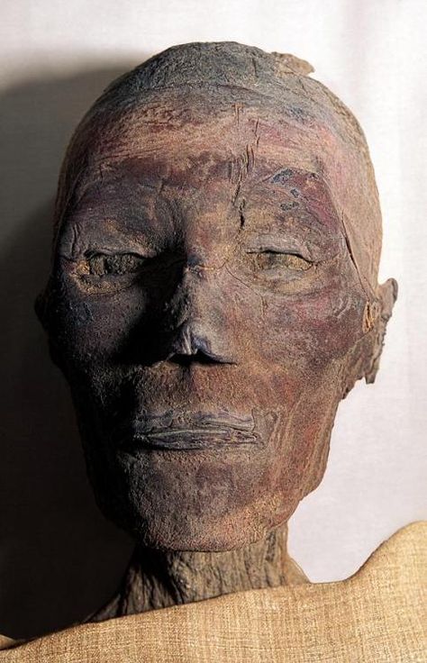 Egyptian Mummy Art, The Mummy Anaksunamun, Mummy Museum, Ancient Egypt Mummies, The Egyptian Museum, Egypt Mummy, Pyramids Egypt, Egypt Museum, Egyptian Mummies