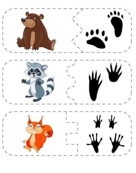 Polar Bear Craft, Animal Footprints, Abc Activities, Shapes Preschool, Animal Tracks, Nocturnal Animals, Creative Activities For Kids, Camping Theme, Animal Projects