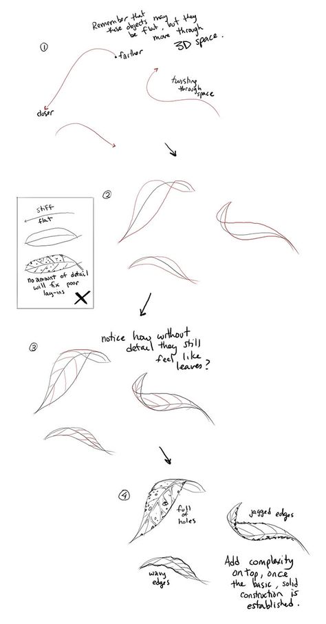 Leaves Tutorial Drawing, Drawing Plants Tutorial, Folded Leaves Drawing, Leaves Reference Drawing, Leaf Tutorial Drawing, Leaf Drawing Reference, How To Draw Leaf, Simple Leaves Drawing, Constructional Drawing