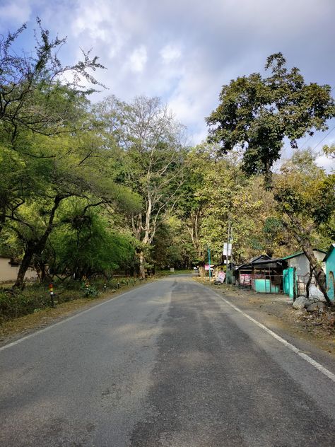 Walking down the streets of Ramnagar's Jim Corbett National Park Corbett National Park, Jim Corbett National Park, Jim Corbett, Drawing Inspo, Story Ideas, Instagram Story Ideas, The Streets, Photo Inspiration, Instagram Story