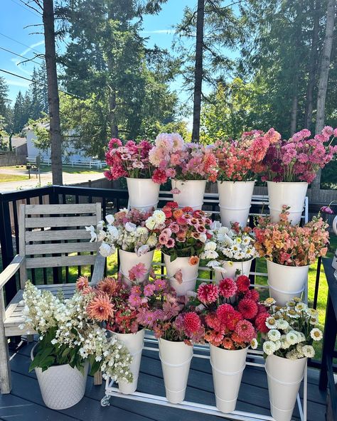 Florist Pop Up Shop, Flower Market Party Theme, Bloom Party Theme, Make Your Own Flower Bouquet Party, Flower Arrangements Party, Floral Theme Birthday Party For Women, Flower Bar Display, Bouquet Station Party, Flower Arranging Party Ideas