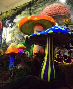 Wonderland Crafts, Types Of Mushrooms, Bühnen Design, Alice In Wonderland Garden, Wonderland Garden, Alice In Wonderland Tea Party Birthday, Mushroom Pictures, Mushroom Crafts, Garden Mushrooms