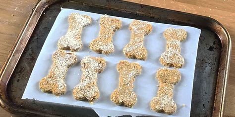 Bacon Dog Treats, Homemade Dog Cookies, Bacon Dog, Dog Treats Homemade Easy, Dog Biscuit Recipes, Easy Dog Treats, Dog Treats Homemade Recipes, Food Dog, Healthy Dog Food Recipes