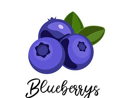 Blueberry Vector, Blueberry Illustration, Blueberry Tree, Illustration Product, Flat Illustration, Book Cover Design, Graphic Design Illustration, Design Illustration, Product Design