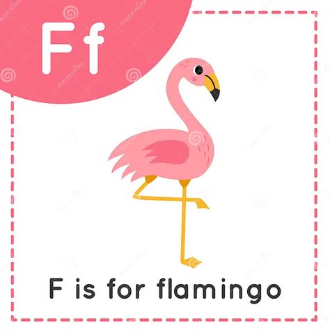 Learning English Alphabet for Kids. Letter F. Cute Cartoon Flamingo Stock Vector - Illustration of flashcard, reading: 285815490 F Is For Flamingo, English Alphabet For Kids, Cartoon Gorilla, Alphabet Tracing Printables, Preschool Zoo Theme, Cartoon Snail, Cartoon Flamingo, Letters For Kids, Alphabet Tracing