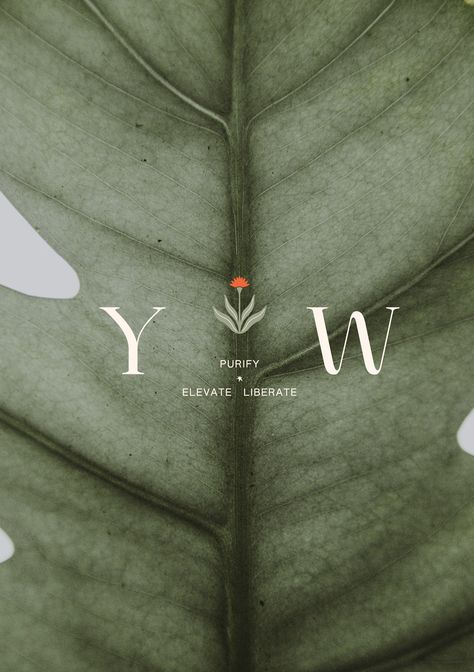 You Wellness Branding Yoga Studio Logo Ideas, Holistic Aesthetic Photography, Holistic Wellness Branding, Yoga Mood Boards Inspiration, Wellness Website Design Inspiration, Womens Health Branding, Yoga Studio Logo Design, Relaxing Branding, Yoga Design Graphic