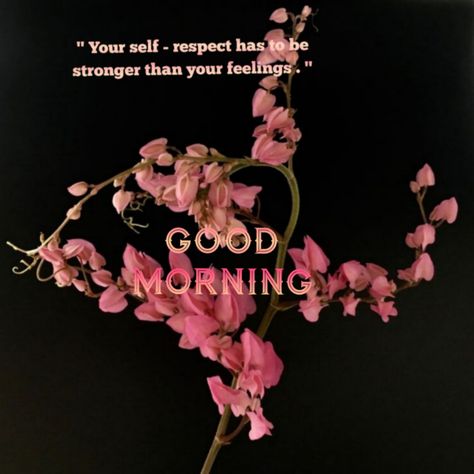 " Your self- respect has to be stronger than your feelings . " Morning Wishes, Self Respect, Stronger Than You, Morning Wish, Good Morning Wishes, You Changed, Good Morning, Feelings, Quick Saves