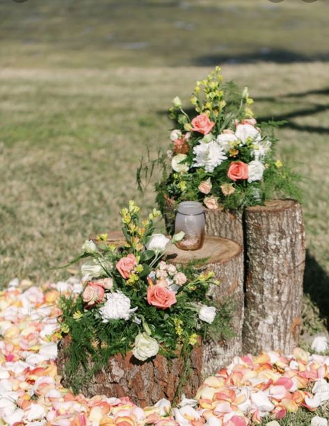 Tree Wedding Ceremony, Peach Wedding Colors, Deco Champetre, Rustic Backyard, Barn Wedding Decorations, Peach Cream, Bay Wedding, Outdoor Wedding Decorations, Peach Wedding