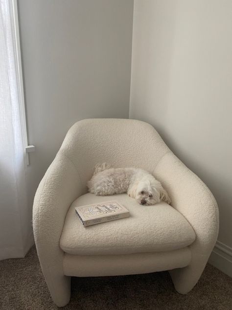 dog on chair with book Poses For Pictures Instagram Aesthetic, Insta Inspo Posts, Instagram Post Idea, Insta Theme, Instagram Story Ideas Creative, Instagram Filler, Filler Photos, Post Insta, Aesthetic Dog