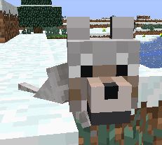 Ethan!!!!        This cute baby wolf from Minecraft is cute!! You get a baby wolf if you have 2 tamed wolves. You have to feed them any kind of meat or 2 bones to get them in love mode. Then you will have a baby wolf!!! Minecraft Wolf, Minecraft Baby, Baby Wolves, Cute Minecraft, Baby Wolf, Minecraft Cake, Funny Ideas, Minecraft Party, Disney Descendants