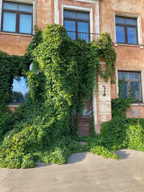 Old brown house overgrown with vines, a lot of greenery, graffiti on the doors, warm sunny summer day Balcony Vines, Vines On Building, House With Vines, Overgrown Aesthetic, Overgrown House, Overgrown Plants, Green Balcony, Real Reference, Environment Projects