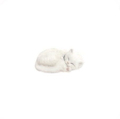 Winter App, Minimalist Icons, Screen Icon, Cute App, Stuffed Animal Cat, Iphone Photo App, Png Icons, Widget Icon, Ios App Icon