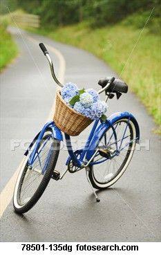 . Pretty Bicycle, Arranged Flowers, Bike Planter, Valentines Cakes, Bicycle Pictures, Blue Bicycle, Basket Flowers, Bike With Basket, Bicycle Travel