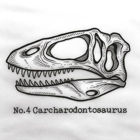 TRASH HAUS no Instagram: “Meaning ‘shark toothed lizard’. Most well known for having a name as long as it’s own head - - - #dinosaurtattoo #dinosaur #dinosaurs…” Brachiosaurus Skull, Dino Embroidery, Dinosaur Tattoo, Mantra Tattoo, Dinosaur Dinosaur, Dinosaur Tattoos, Dinosaur Drawing, Dinosaur Illustration, Skulls Drawing