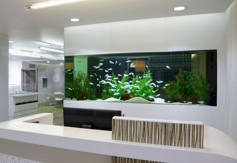 Aquarium Mural, Office Aquarium, Fish Tank Wall, Barratt Homes, Aquarium Architecture, Custom Aquarium, Wall Aquarium, Interior Design Office, Amazing Aquariums