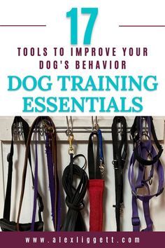 Dog Training Tools, Dog Training Equipment, Puppy Obedience Training, Dog Behavior Training, Dog Leash Training, Clever Dog, Dog Potty Training, Dog Potty, Dog Training Advice