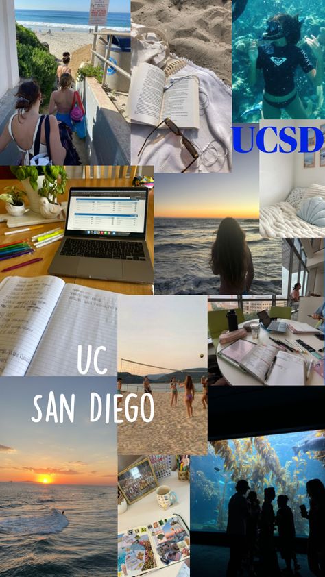 #ucsd UC San Diego inspiration #trending #love Uc San Diego, School Choice, College Board, Life Plan, Grad School, Future Life, College Life, San Diego, How To Plan