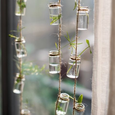 ​​August Grove Frazee Rustic Rope Glass Hanging Planter | Wayfair Mushroom Bathroom, Takken Decor, Hanging Glass Planters, Reuse Ideas, Bottle Vases, Plants Hanging, Air Plant Display, Gothic Garden, Hanging Vases