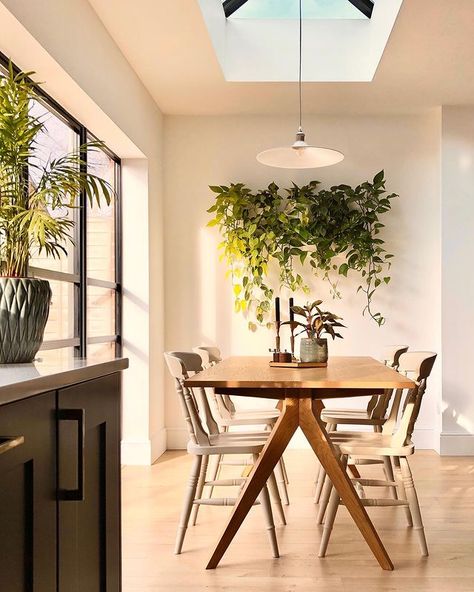 Plant Decorating Ideas, Accent Wall Design, Brick Accent Walls, Extra Space Storage, Installing Shiplap, Indoor Plant Wall, Wall Planters Indoor, Neon Wall Art, Wood Accent Wall