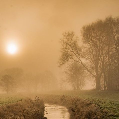 Misty Morning Photography, Morning Aesthetic Nature, Morning Sun Aesthetic, Autumn Mute, Soft Sunrise, Misty Sunrise, Butterfly Ideas, Early Morning Sun, Morning Photography