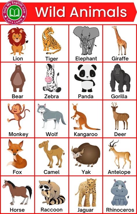 Wild Animals Name List, Wild Animals Name, Animals Name With Picture, Animals Name List, Animal Pictures For Kids, Animals Name In English, Animals Name, Me Preschool Theme, Yamaha Rx100