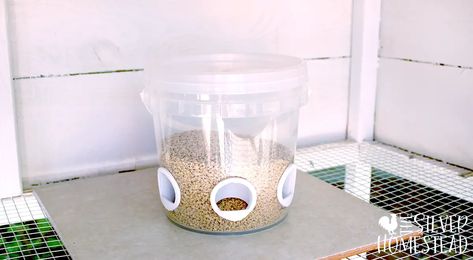 No Waste Quail Feeders that Work - Silver Homestead Diy Quail Feeder, Quail Feeder, Quail Coop, Raising Quail, No Waste, Farm Gardens