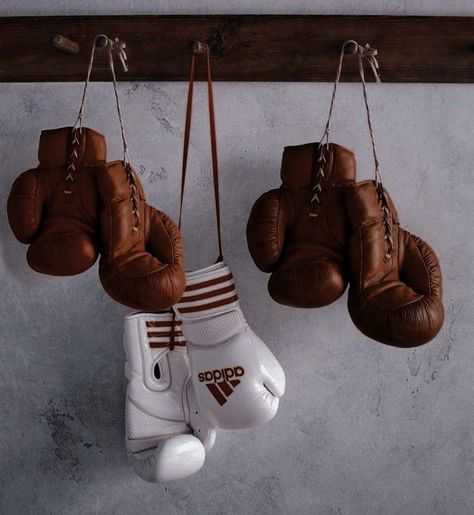 Boxing Gloves Aesthetic, Aesthetic Boxing, Boxing Aesthetic, Boxer Aesthetic, Gloves Aesthetic, Rauch Fotografie, Charlie Cox, Sports Aesthetic, Mötley Crüe