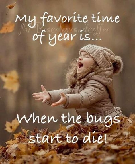 Fall Humor, Sister Quotes Funny, Funny Day Quotes, Good Morning Funny Pictures, Sisters Funny, Good Morning Funny, Funny Quotes Sarcasm, Goofy Pictures, Fun Signs