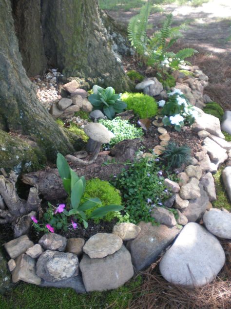 Under the the oak tree at Linden  www.lindeneuropeangardens.com Rockery Around Tree, Landscaping Around Oak Trees, Trees With Stones Around, Rock Garden Under Tree, Rock Garden Around Tree, Fairy Garden Under Tree Ideas, Oak Tree Landscaping, Oak Tree Garden, Landscaping Around Trees With Rocks