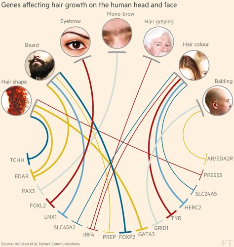 Mar 1 2016: Grey hairs, monobrows and poorly judged comb-overs could be consigned to history after research led by British scientists revealed how our genes affect hair growth on the human head and face Hair Genetics, Beard Shape, Beard Shapes, Types Of Hair, Human Head, English Writing Skills, English Writing, Ginger Hair, Genetic