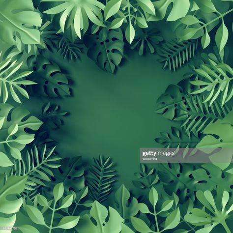 Stock Photo : 3d render, tropical paper leaves, blue scene background, jungle, frame Jungle Decor, Deco Jungle, Nature Projects, Scene Background, Paper Cutout Art, Fiesta Tropical, Paper Plants, Paper Leaves, Green Photo