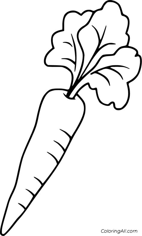 Carrot Printable, Carrot Drawing, Vegetable Coloring Pages, Vegetable Drawing, Carrot Colour, Fruit Coloring Pages, Fruits Drawing, Easy Drawings For Kids, Easy Coloring Pages