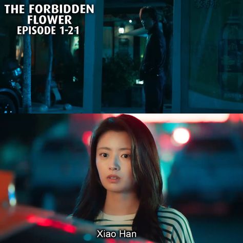 The Forbidden Flower Episode 21 The Forbidden Flower, Summer Relationship, Forbidden Flower, Jerry Yan, Japanese Drama, Chinese Drama, 20 Years Old, A Sea, Drama