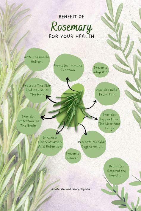 Rosemary Benefits, Rosemary Oil For Hair Growth, Rosemary Oil For Hair, Medicinal Herbs Garden, Medical Herbs, Oil For Hair Growth, Health And Fitness Magazine, Oil For Hair, Herbal Healing