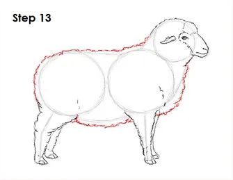 Sheep Drawing Step By Step, Sheep Anatomy Drawing, How To Draw A Lamb, How To Draw A Sheep, How To Draw Sheep, Sheep Puppet, Draw Sheep, Draw A Sheep, Drawing Sheep