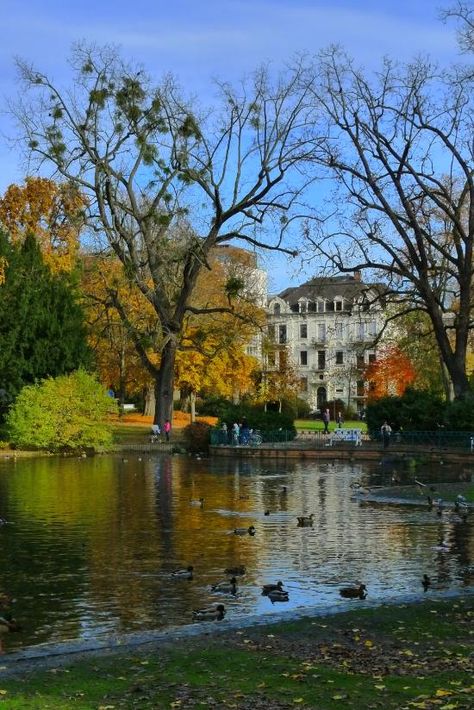 Weisbaden Germany, Native American Map, Germany Aesthetic, Wiesbaden Germany, Natural Pond, State Capitals, Autumn Scenes, Autumn Landscape, Moscow Russia