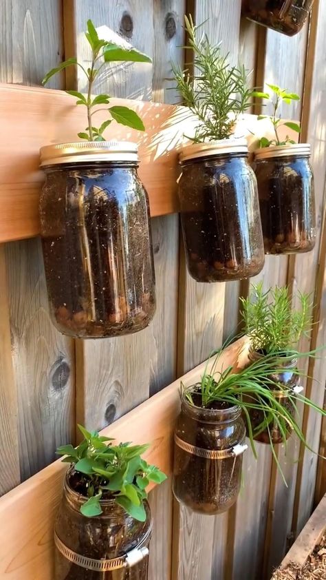 indoorplants_decor on Instagram: 3 easy ways to create a vertical herb garden using @bernardincanning jars. Herbs are an essential ingredient in the kitchen and to be… Mason Jar Herb Garden, Hanging Herb Garden, Vertical Garden Indoor, Vertical Vegetable Garden, Herb Garden Design, Vertical Herb Garden, Indoor Vegetable Gardening, Herb Planters, Indoor Herb Garden