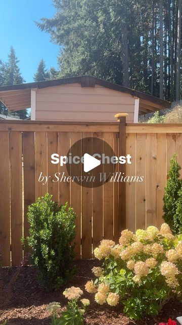 Sally Vlas - Textured Art, DIY & Home Design on Instagram: "Details ⬇️

We stained our fence with a semi-transparent stain - Spice Chest by @sherwinwilliams It’s a soft golden brown and almost more of a clear coat that cancels out the orange tone of cedar and keeps it that pretty light brown!! Obsessed 🤎

We got a super affordable paint sprayer and it was SO worth it. I wouldn’t stain a fence without one - it’s regularly $70ish but is currently on sale as of today (September 14) for under $40! One of my best purchases for DIY projects. Comment PAINT and I’ll send you the link to the sprayer🤞🏼
•
•
•
#diy #diyersofinstagram #home #homeimprovement #project #outdoors #backyard #backyardgarden #fence #paint #painting #homedesign #homemade #homeinspo #inspiration #makeover #transformation #be Sherwin Williams Fence Stain Colors, Wood Fence Stain Color Ideas, Wood Stain Fence, Fence Stain Colors Ideas, Fence Stain Colors, Cedar Fence Stain, Textured Art Diy, Semi Transparent Stain, Fence Stain