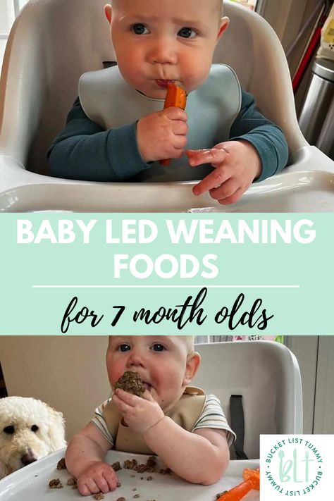 8 Month Old Baby Food, Baby Meal Plan, Baby Led Weaning First Foods, Weaning Foods, 7 Month Old Baby, Baby Led Weaning Recipes, Weaning Recipes, Baby Weaning, Homemade Baby Foods