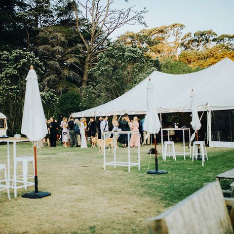 Peg And Pole Marquee Wedding, Marquee Wedding, Cocktail Hour, Dolores Park, Travel, Quick Saves