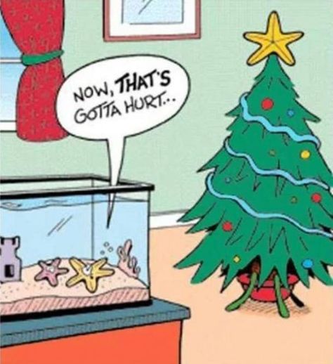 40 Funny Christmas Memes & Quotes To Get You Through The Holidays Funny Christmas Cartoons, Funny Christmas Jokes, Christmas Memes Funny, Funny Christmas Tree, Christmas Comics, Christmas Memes, Christmas Jokes, Gift Drawing, Black Christmas Trees