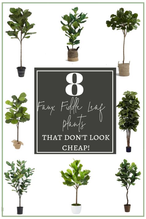 The Best Fiddle Leaf Fig Trees That Don't Look Cheap!  | www.alyseavega.com | Restoration Hardware Style Bedroom, Faux Fiddle Leaf Tree, Large Fiddle Leaf Tree, Fiddle Leaf Tree Bedroom, Faux Fiddle Leaf Tree Living Rooms, Living Room Fiddle Leaf Fig, Fiddle Leaf Tree Office, Fake Fiddle Leaf Fig Tree Decor, Fiddle Tree