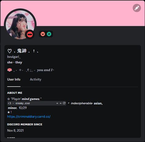 Aesthetic Discord Profile No Nitro, Discord Profile Without Nitro, Aesthetic Discord Profile Ideas, No Nitro Discord Profile, Discord Profile Ideas No Nitro, Discord Nitro Profile, Discord Profile Ideas, App Customization, Discord Aesthetic