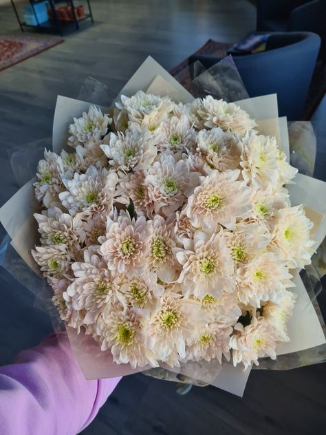 хризантемы, bouquet of chrysanthemums Chrisantemum Bouquet, Chrisantemum Flower Bouquet, Crisanthiums Flower, Chrysanthemum Flower Bouquets, Prank Photos, Flowers Chrysanthemums, Chrysanthemum Bouquet, Single Flower Bouquet, Fav Flower